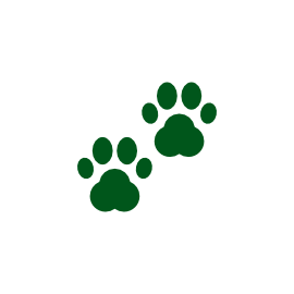 Mascotas